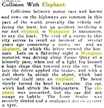 elephant and car article