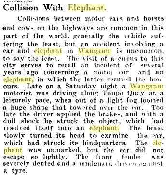 elephant and car article